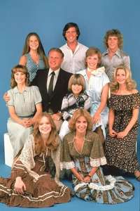 Eight Is Enough: A Family Reunion - Poster