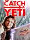To Catch a Yeti