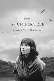 The Juniper Tree