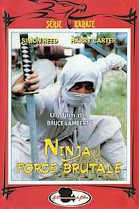 Ninja  the Violent Sorceror - Poster