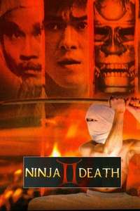 Ninja Death 2 - Poster