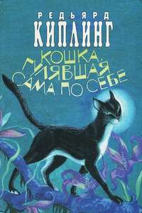 The Cat Who Walked by Herself - Poster