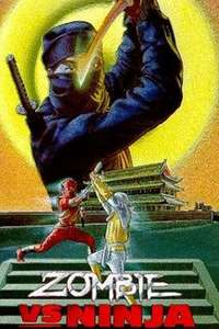 Zombie vs. Ninja - Poster