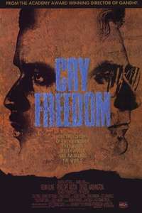 Cry Freedom - Poster