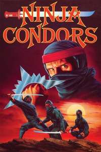 Ninjas  Condors 13 - Poster