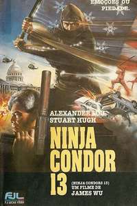 Ninjas  Condors 13 - Poster
