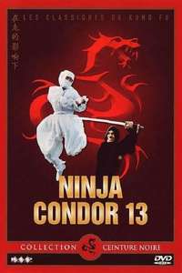Ninjas  Condors 13 - Poster