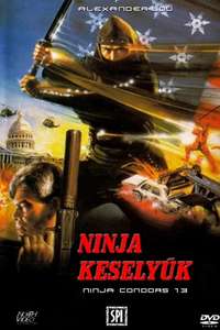 Ninjas  Condors 13 - Poster