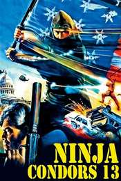 Ninjas  Condors 13