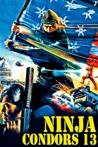 Ninjas  Condors 13 - Poster