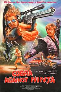 Cobra vs. Ninja - Poster
