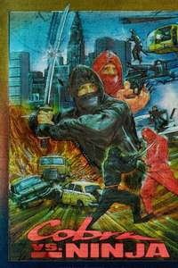 Cobra vs. Ninja - Poster