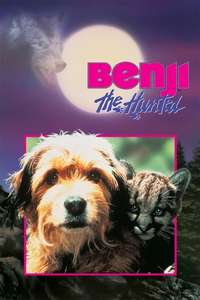 Benji the Hunted - Poster