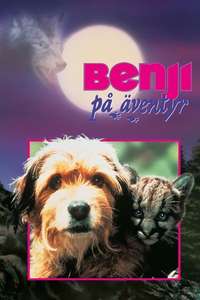 Benji the Hunted - Poster