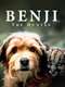 Benji the Hunted