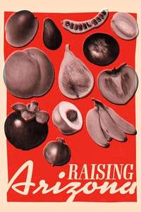 Raising Arizona - Poster