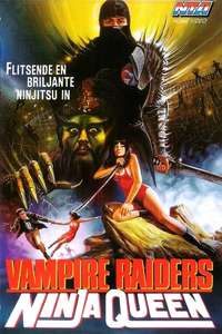 The Vampire Raiders - Poster