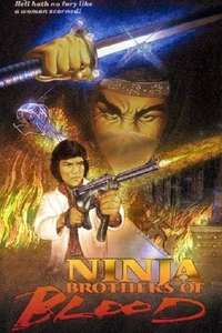 Ninja Knight: Brothers of Blood - Poster