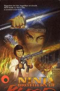 Ninja Knight: Brothers of Blood - Poster