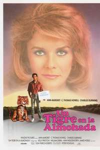 A Tiger's Tale - Poster