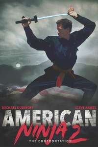 American Ninja 2: The Confrontation - Poster