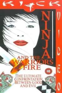Ninja and the Warriors of Fire - Poster