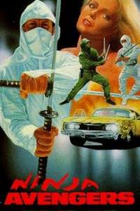 Ninja Avengers - Poster