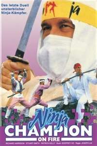 Ninja Avengers - Poster
