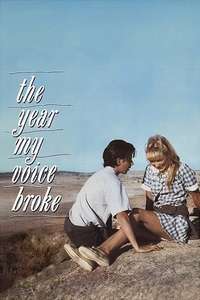 The Year My Voice Broke - Poster