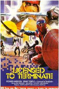 Ninja Operation: Licensed to Terminate - Poster