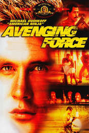 Avenging Force