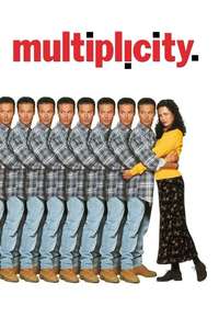 Multiplicity - Poster