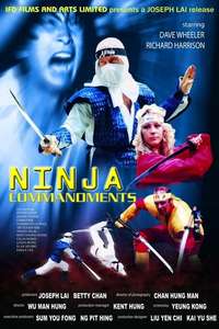 Ninja Commandments - Poster
