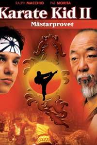 The Karate Kid  Part II - Poster