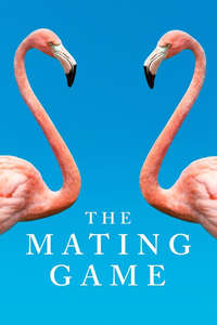 The Mating Game - Posters