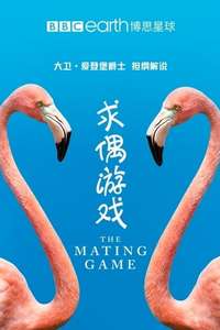 The Mating Game - Posters