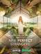 Nine Perfect Strangers : Season 1