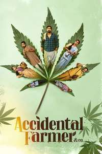 Accidental Farmer & Co - Posters