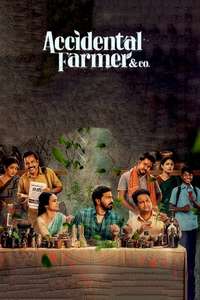 Accidental Farmer & Co - Posters