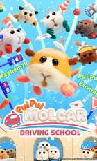Pui Pui Molcar