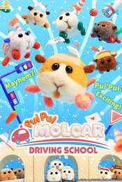 Pui Pui Molcar Driving School