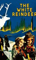 The White Reindeer
