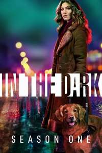 In the Dark - Posters