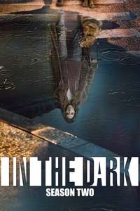 In the Dark - Posters