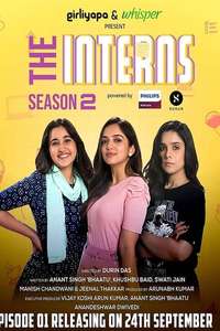 The Interns - Poster