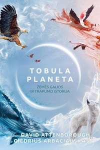 A Perfect Planet - Posters
