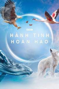 A Perfect Planet - Posters