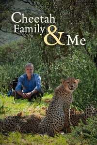 Cheetah Family And Me - Poster