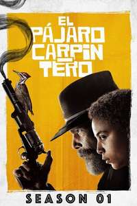 The Good Lord Bird - Posters