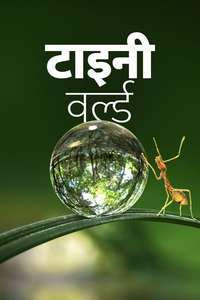 Tiny World - Posters